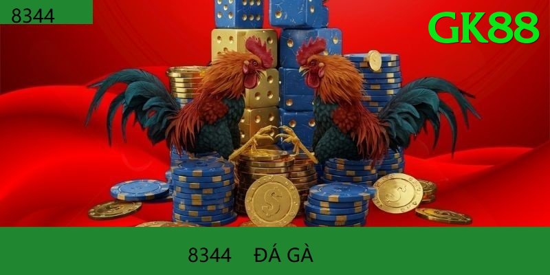 Đá Gà Trực Tiếp - Trải nghiệm tuyệt vời - Máy chủ mới